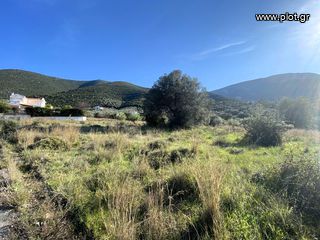 Οικόπεδο 420 τ.μ. για πώληση, Αργολίδα, Επίδαυρος-thumb-20
