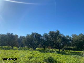 Οικόπεδο 4.845 τ.μ. για πώληση, Μεσσηνία, Κυπαρισσία-thumb-3