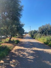 Οικόπεδο 4.845 τ.μ. για πώληση, Μεσσηνία, Κυπαρισσία-thumb-4