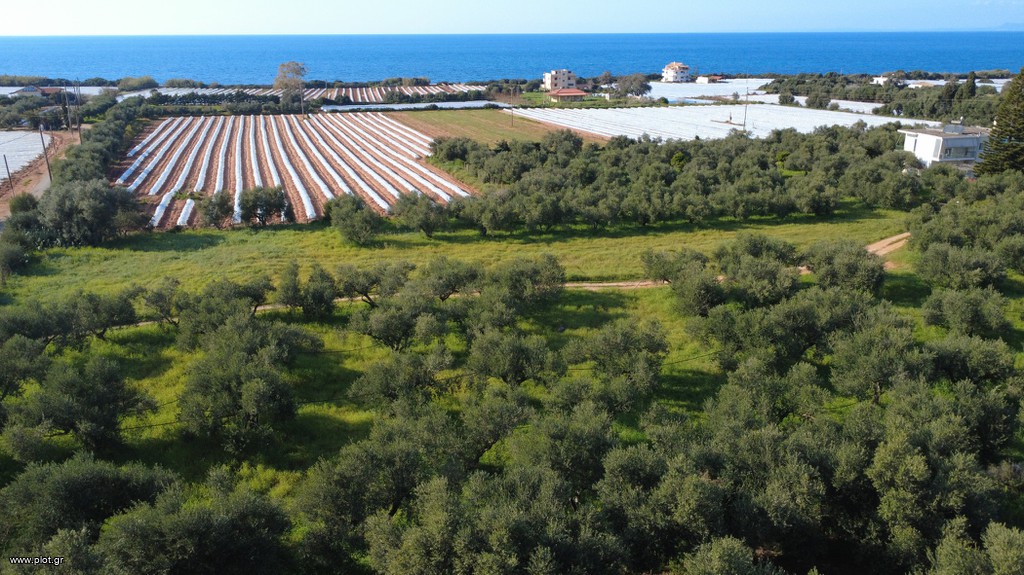 Οικόπεδο 4.845 τ.μ. για πώληση, Μεσσηνία, Κυπαρισσία