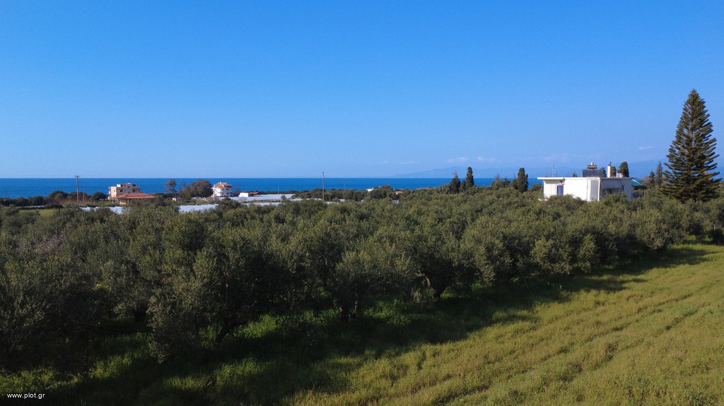 Οικόπεδο 4.845 τ.μ. προς πώληση, Φαρακλάδα