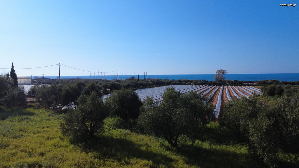 Οικόπεδο 4.845 τ.μ. προς πώληση, Φαρακλάδα