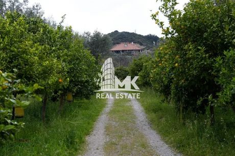 Μονοκατοικία 140τ.μ. για πώληση-Ρόδος » Αφάντου
