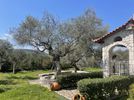 Συγκρότημα διαμερισμάτων 200τ.μ. για πώληση-Αβία » Κάμπος