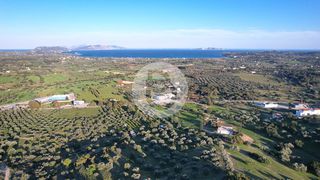 Οικόπεδο 18.000 τ.μ. για πώληση