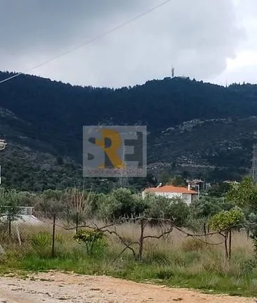 Land plot 295 sqm for sale, Athens - East, Paiania