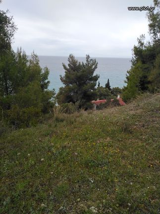 Αγροτεμάχια 4.000 τ.μ. για πώληση, Χαλκιδική, Κασσάνδρα