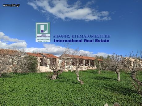Αγροτεμάχια 2.785 τ.μ. για πώληση