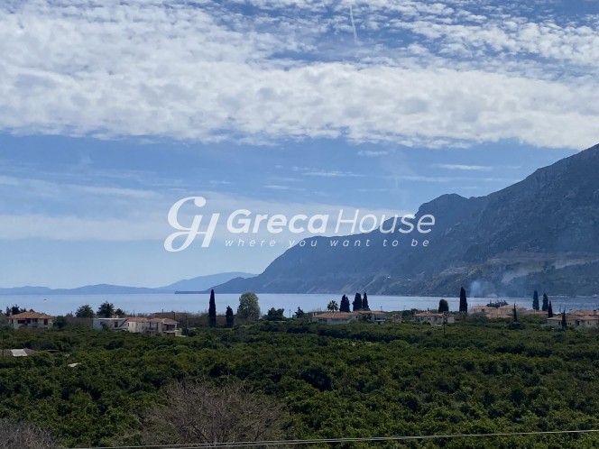Ξενοδοχείο 986 τ.μ. προς πώληση, Αργολίδα, Επίδαυρος