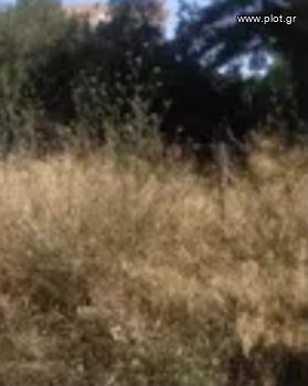 Οικόπεδο 451τ.μ. για πώληση-Ελληνικό » Κάτω σούρμενα