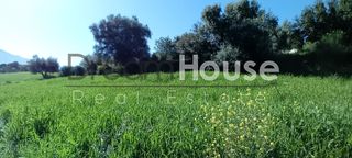 Οικόπεδο 520 τ.μ. για πώληση, Αχαΐα, Μεσσατίδα-thumb-14