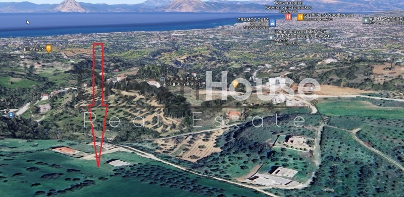 Οικόπεδο 520 τ.μ. προς πώληση, Θέα Μεσσάτιδας