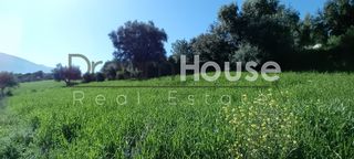 Οικόπεδο 520 τ.μ. για πώληση, Αχαΐα, Μεσσατίδα-thumb-15
