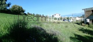 Οικόπεδο 520 τ.μ. για πώληση, Αχαΐα, Μεσσατίδα-thumb-7