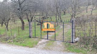 Αγροτεμάχια 4.000 τ.μ. για πώληση