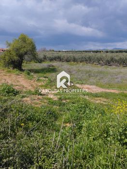 Land plot 1.700sqm for sale-Poligiros » Kalives Poligirou