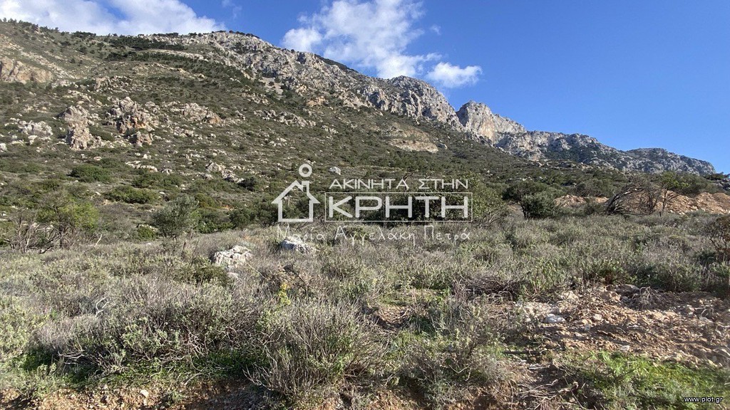 Οικόπεδο 2.937 τ.μ. προς πώληση, Μοναστηράκι Ιεράπετρας