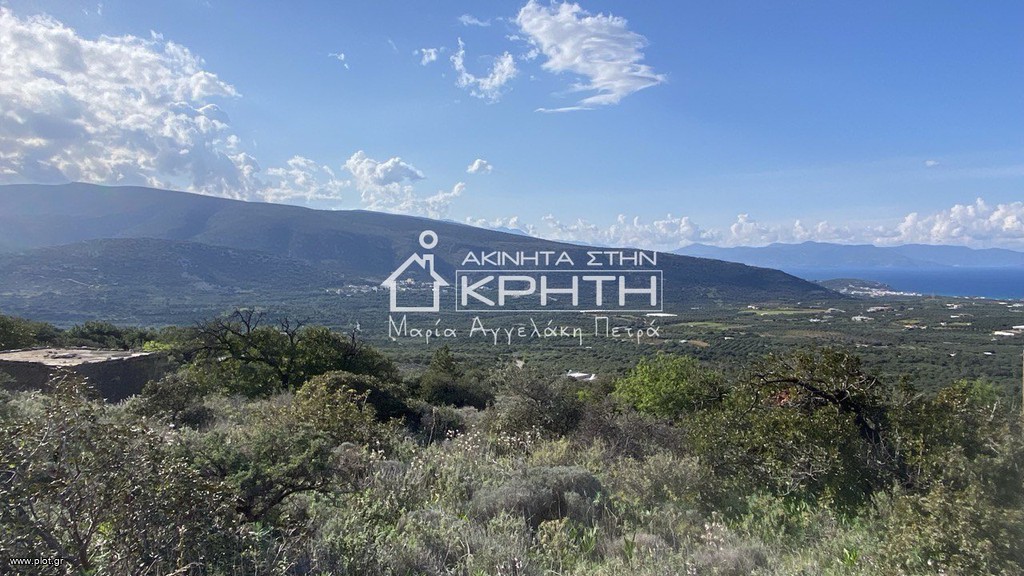 Οικόπεδο 2.937 τ.μ. προς πώληση, Μοναστηράκι Ιεράπετρας