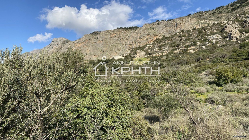 Οικόπεδο 2.937 τ.μ. προς πώληση, Μοναστηράκι Ιεράπετρας