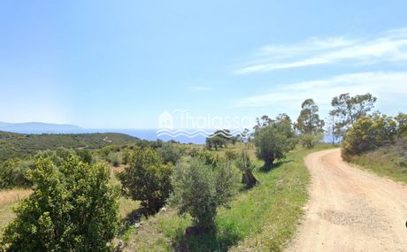 Parcel 40.573sqm for sale-Kefalonia » Eleioi-Pronoi