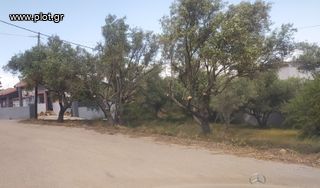 Οικόπεδο 250 τ.μ. για πώληση, Εύβοια, Χαλκίδα-thumb-8