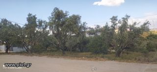 Οικόπεδο 250 τ.μ. για πώληση, Εύβοια, Χαλκίδα-thumb-16