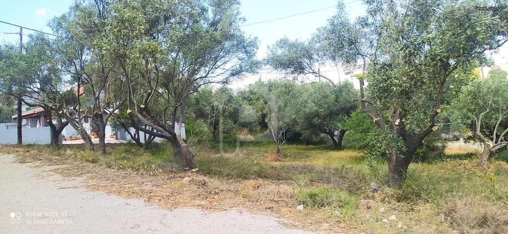 Land plot 250 sqm for sale, Chalkida