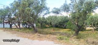 Οικόπεδο 250 τ.μ. για πώληση, Εύβοια, Χαλκίδα-thumb-2