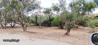 Οικόπεδο 250 τ.μ. για πώληση, Εύβοια, Χαλκίδα-thumb-5