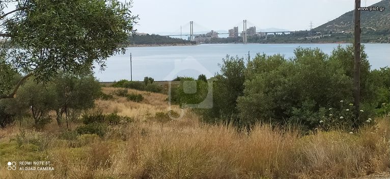 Οικόπεδο 250 τ.μ. για πώληση, Εύβοια, Χαλκίδα