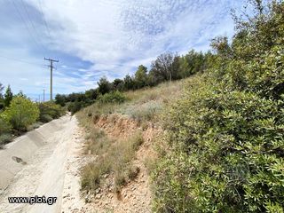 Οικόπεδο 818 τ.μ. για πώληση, Αργολίδα, Κρανίδι-thumb-8