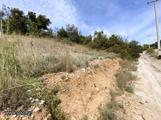 Οικόπεδο 818 τ.μ. για πώληση, Αργολίδα, Κρανίδι-thumb-9
