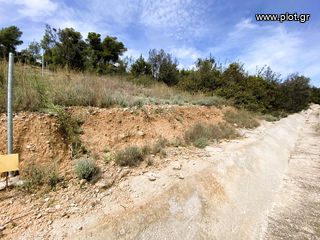 Οικόπεδο 818 τ.μ. για πώληση, Αργολίδα, Κρανίδι-thumb-10