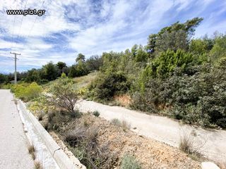 Οικόπεδο 818 τ.μ. για πώληση, Αργολίδα, Κρανίδι-thumb-11