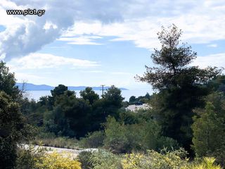 Οικόπεδο 782 τ.μ. για πώληση, Αργολίδα, Κρανίδι-thumb-5