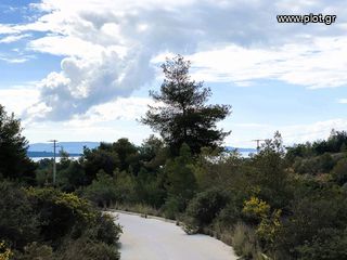 Οικόπεδο 782 τ.μ. για πώληση, Αργολίδα, Κρανίδι-thumb-6