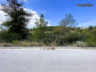 Οικόπεδο 782 τ.μ. για πώληση, Αργολίδα, Κρανίδι-thumb-9