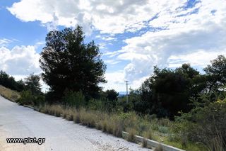 Οικόπεδο 782 τ.μ. για πώληση, Αργολίδα, Κρανίδι-thumb-11
