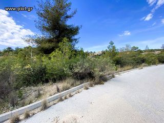 Οικόπεδο 782 τ.μ. για πώληση, Αργολίδα, Κρανίδι-thumb-12
