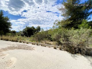 Οικόπεδο 782 τ.μ. για πώληση, Αργολίδα, Κρανίδι-thumb-18
