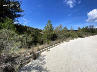 Οικόπεδο 782 τ.μ. για πώληση, Αργολίδα, Κρανίδι-thumb-21