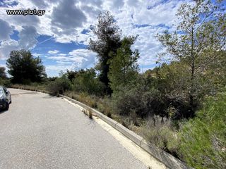 Οικόπεδο 782 τ.μ. για πώληση, Αργολίδα, Κρανίδι-thumb-24