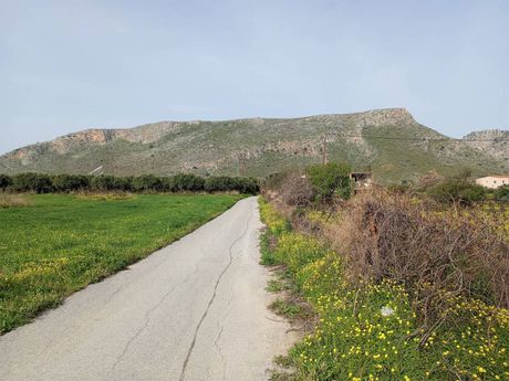 Αγροτεμάχια 7.800τ.μ. για πώληση-Γάζι » Παντάνασσα