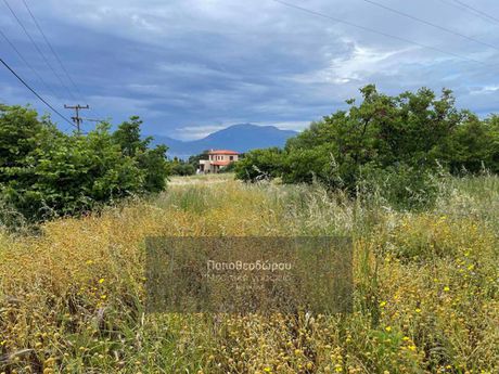 Αγροτεμάχια 6.526τ.μ. για πώληση-Ρίο » Κάτω καστρίτσι