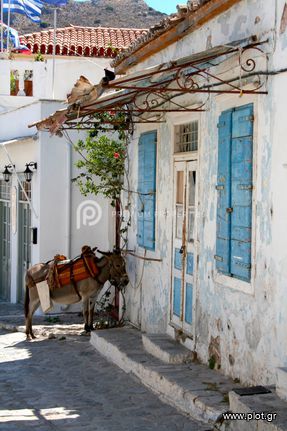 Αγροτεμάχια 19.815 τ.μ. για πώληση, Αργολίδα, Ερμιόνη
