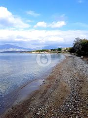 Οικόπεδο 19.815 τ.μ. για πώληση