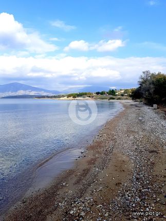 Οικόπεδο 19.815 τ.μ. για πώληση, Αργολίδα, Ερμιόνη