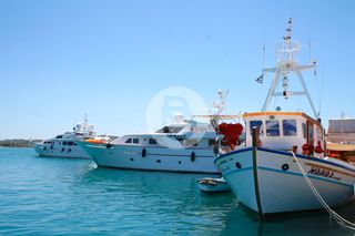 Οικόπεδο 19.815 τ.μ. για πώληση, Αργολίδα, Ερμιόνη-thumb-4