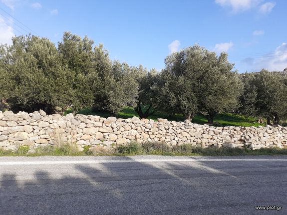 Land plot 3.000 sqm for sale, Lasithi Prefecture, Agios Nikolaos