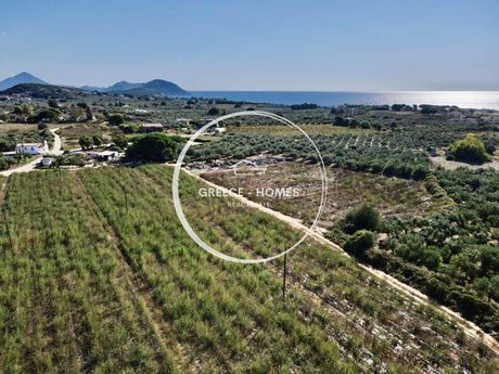 Αγροτεμάχια 40.292τ.μ. για πώληση-Νέστορας » Ρωμανός